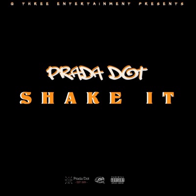 Shake It - Single