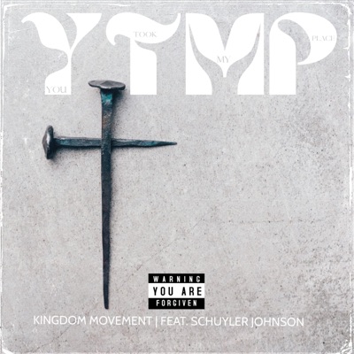 You Took My Place (feat. Schuyler Johnson) - Single