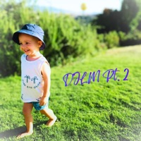 DJLM, Pt. 2 - Single - Jacques Dingle