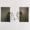 Birds of Paradise - Me Not You lyrics