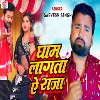 Gham Lagata Ae Raja - Single - Sarvesh Singh