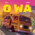 Owa (feat Tekno)