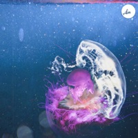 Deep Dive - Single - Sarah Lia