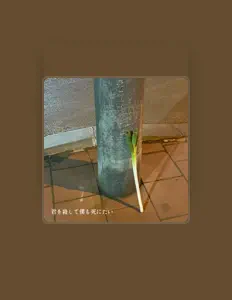 Hör dir mellotron chan an, schau dir Musikvideos an, lies die Biografie, finde Tourdaten und mehr!