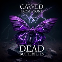Dead Butterflies - Single - Carved From Stone