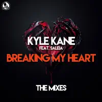 Breaking My Heart — Kyle Kane feat. Saleia