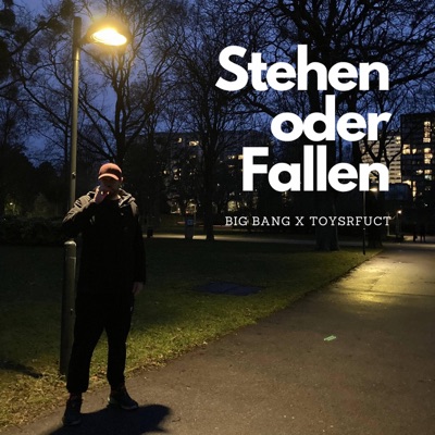 Stehen oder Fallen - Single