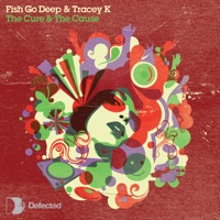 The Cure & the Cause (Dennis Ferrer Remix) [feat. Tracey K] - Fish Go Deep