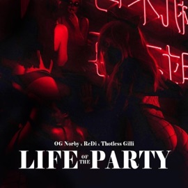 Life of the Party (Radio Edit) Thotless Gilli, OG Norby & ReDi