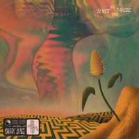 Lost in the Maize - Corn Bois