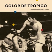 Color de Trópico (Compiled By El Dragón Criollo & El Palmas) artwork