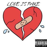 Love Is Fake - Leam