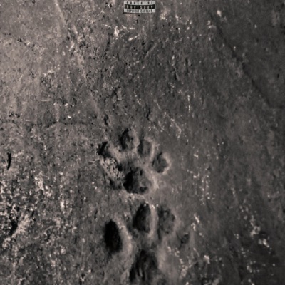 An Exotic Extended Play - Single