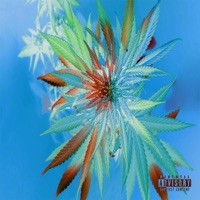 Exotic (feat. Paby) - Single - Tyzen World