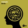 Animals - Birds