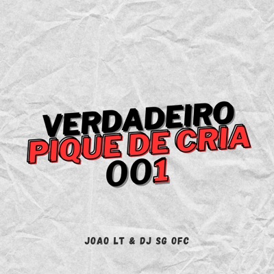 VERDADEIRO PIQUE DE CRIA 001 (feat. JOAO LT) - Single