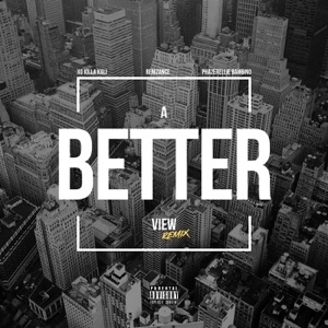 A Better View (Remix)