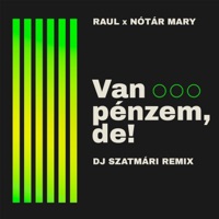 Van pénzem, de! (feat. Nótár Mary) - Single - Raul