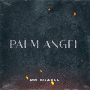 Palm Angel (feat. Dom Big & Gree Cassua)