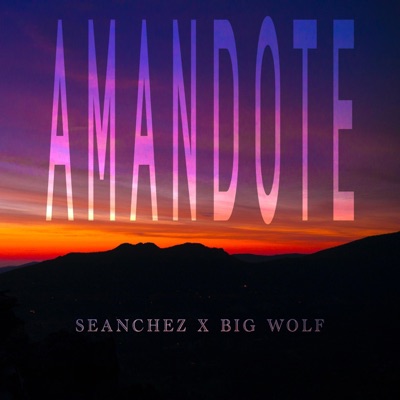 Amándote (feat. Big Wolf) - Single