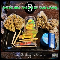 These Are the J's of Our Lives, Vol. 8 - The Rolling Stoners