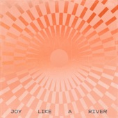 Joy Like a River (Live) artwork