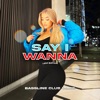 Say I Wanna (feat. Levi Batkin) - Single