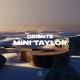 Mini Taylor Single