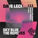 Sky Blue Nick Newman Remix Single