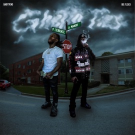 Small Circle Baby 9eno & Big Flock