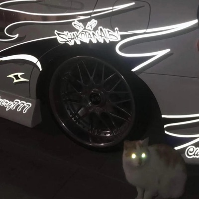 Fucked Up In the Club - Single