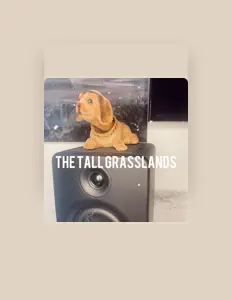 Hör dir Narmerly an, schau dir Musikvideos an, lies die Biografie, finde Tourdaten und mehr!