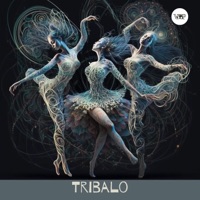 Scents of the East (Max TenRom Remix) - Single - Salvo Migliorini & CamelVIP