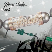 Yours Truly . . . Snob (feat. CocoFinesse) - Single - Ag Silver