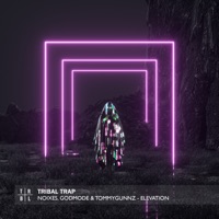 Elevation - Single - NOIXES, GodMode & Tommygunnz