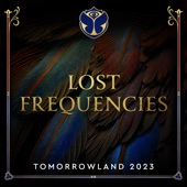 Tomorrowland 2023: Lost Frequencies at The Library, Weekend 1 (DJ Mix) artwork