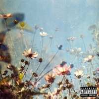My Flowers - Single - Gav$
