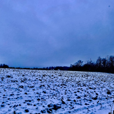 What's The Point - Single