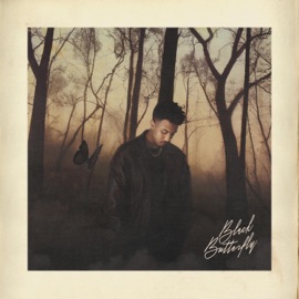 Yallah (feat. VALEN) ONZY