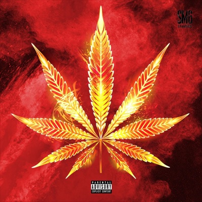 El' Fuego (feat. EvolvedONE & John Wes) - Single