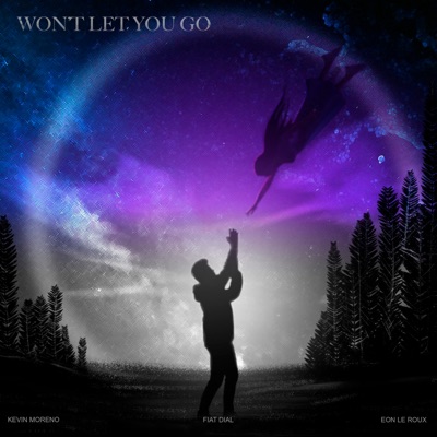 Won't Let You Go - Single