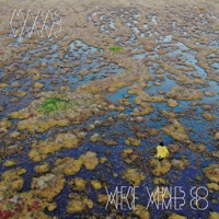 Where Whales Go - Maras