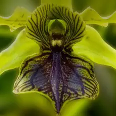 William Vacchianoを聴いたり、ミュージックビデオを鑑賞したり、経歴やツアー日程などを確認したりしましょう!