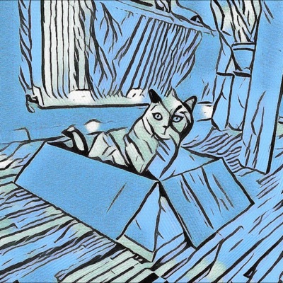 Cat in the Box - Single