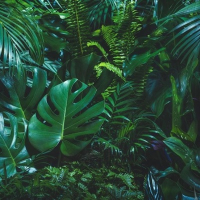 Cliff Road Gardens - EP