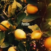 Perdón (feat. Diego Coppinger & Yadira Ferrer & Reinier Elizarde & Kevin Díaz & Yuri Hernández & Uri Martinez & Albert Costa & Marçal Muñoz) artwork