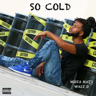 So Cold (feat. Walt D) - Single