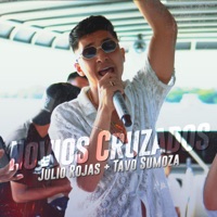 Novios Cruzados (En Vivo) - Single - Julio Rojas & Tavo Sumoza