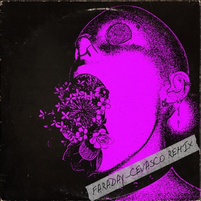 Faraday (Cevasco Remix) - Single