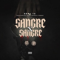 Sangre por Sangre (feat. Semi 13) - Single - Descontrolados barrio pobre